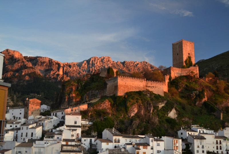 Cazorla162_0014