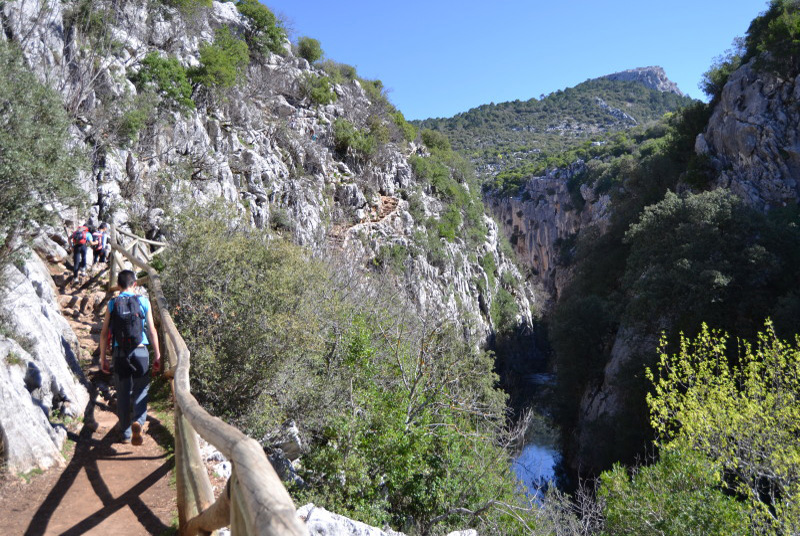 Cazorla163_0001