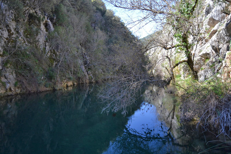 Cazorla170_0005