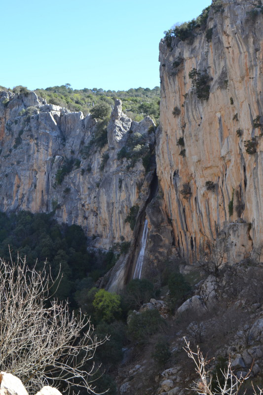 Cazorla176_0007