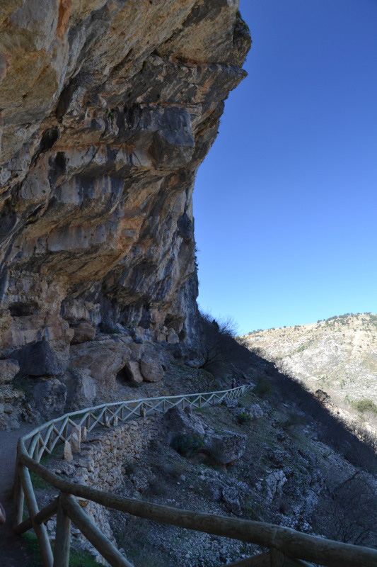 Cazorla180_0009