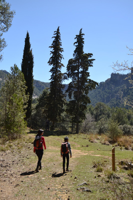 Cazorla185_0011