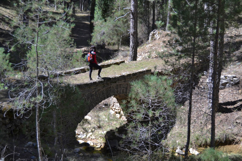Cazorla187_0013