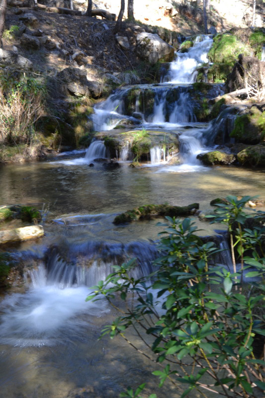 Cazorla194_0017