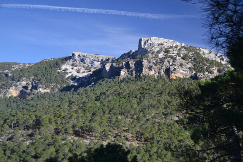 Cazorla199_0018