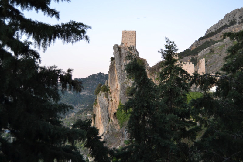 Cazorla202_0020