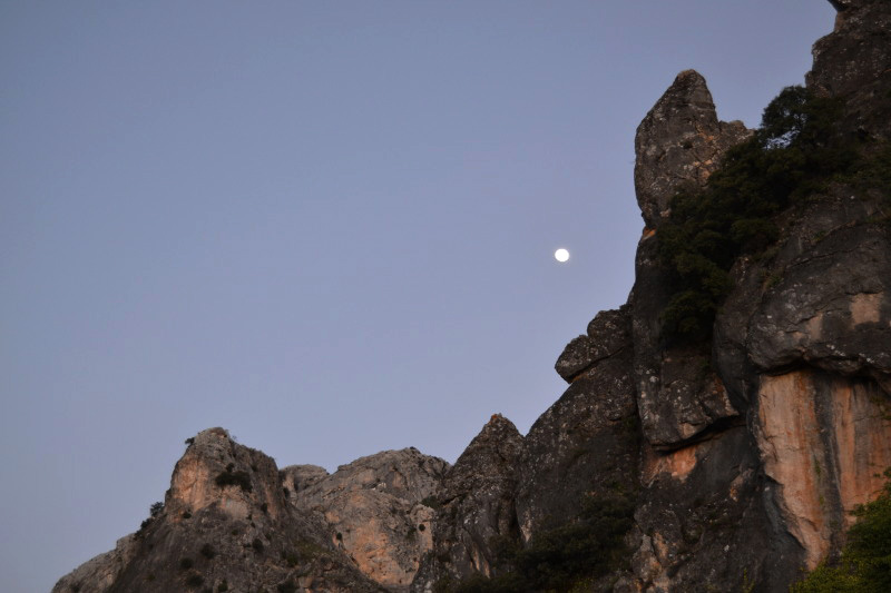 Cazorla206_0022