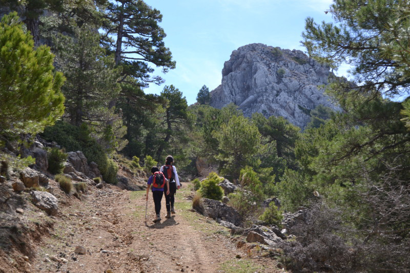 Cazorla218_0002