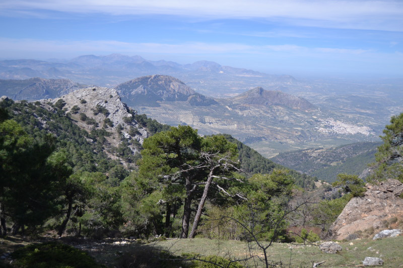 Cazorla219_0003