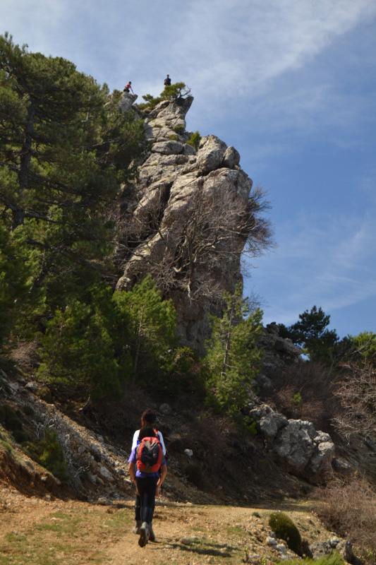 Cazorla220_0004