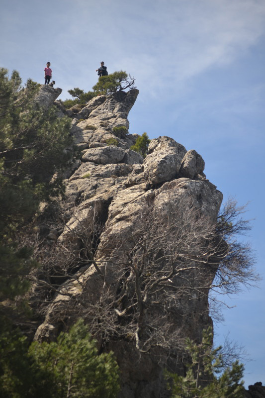 Cazorla221_0005