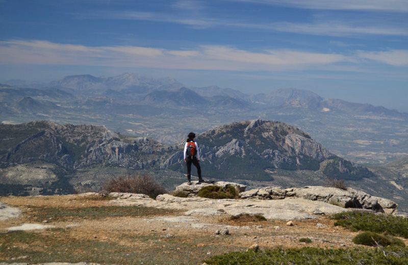 Cazorla225_0008