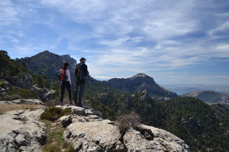 Cazorla227_0010