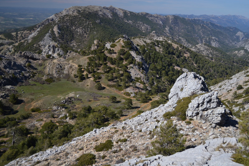Cazorla237_0013