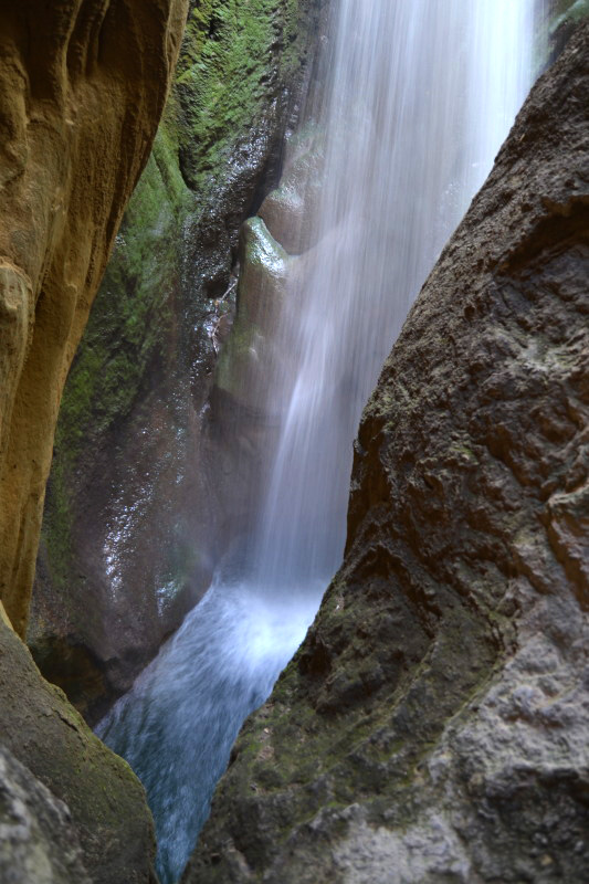 Cazorla249_0015