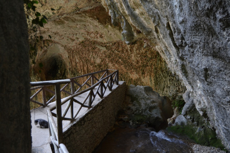 Cazorla251_0016