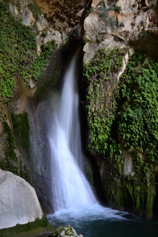 Cazorla257_0019