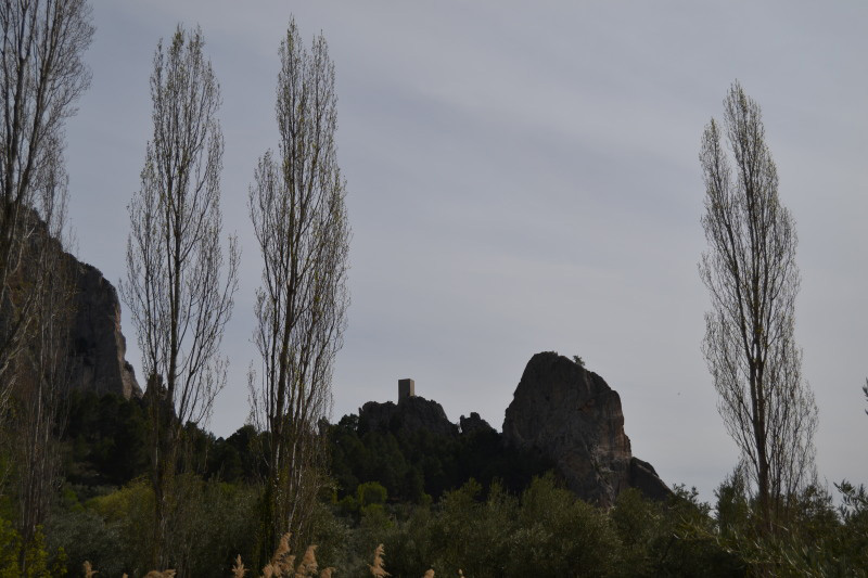 Cazorla262_0020