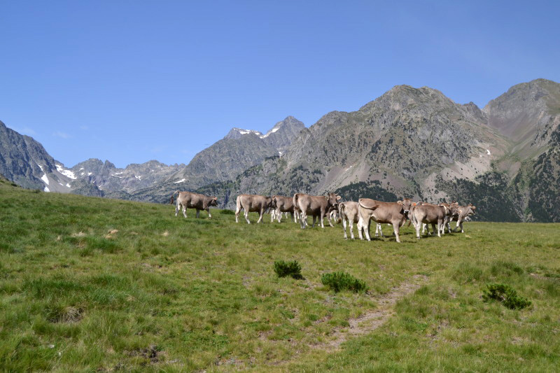 Contrabandistas149_0016