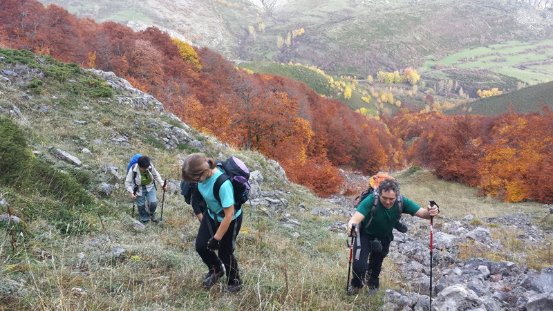 019