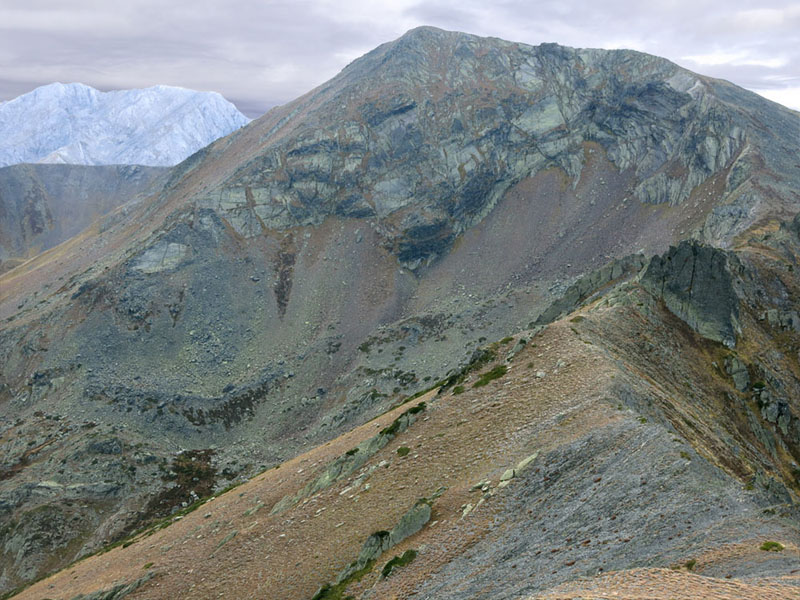 11Pico Murcia