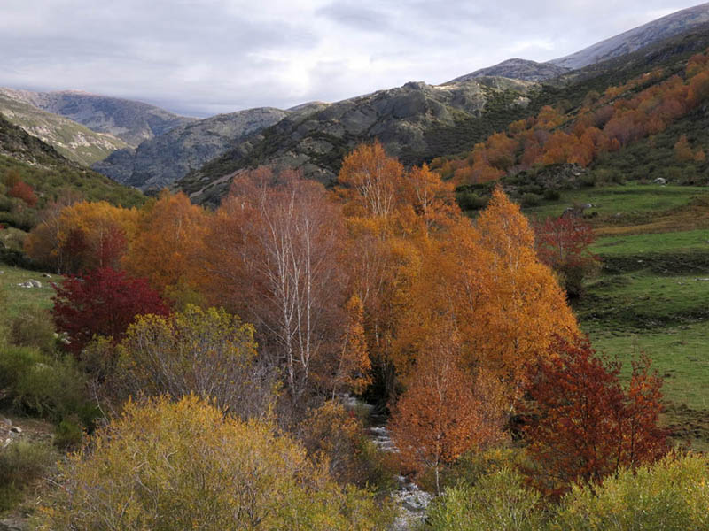 2Arroyo de las Lomas