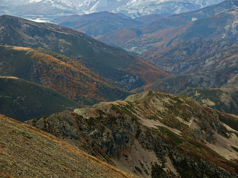 6Valles y bosques