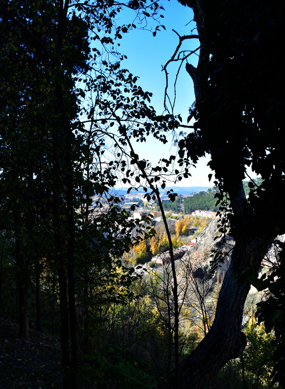DSC_0288