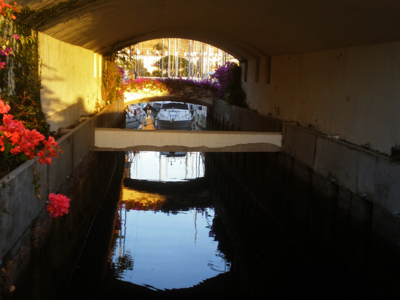 LE LLAMAN LA VENECIA CANARIA
