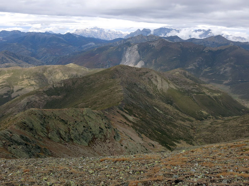 Picos de Europa