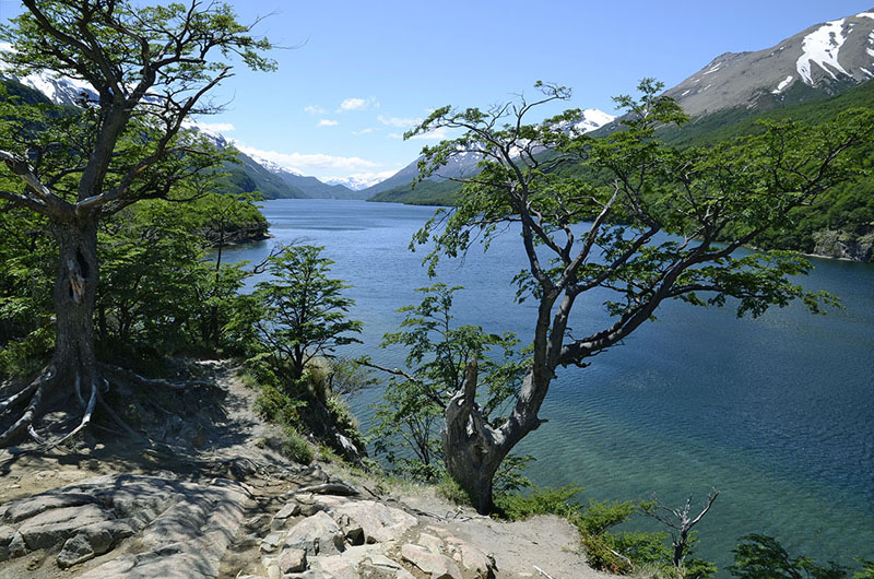Lago del Desierto
