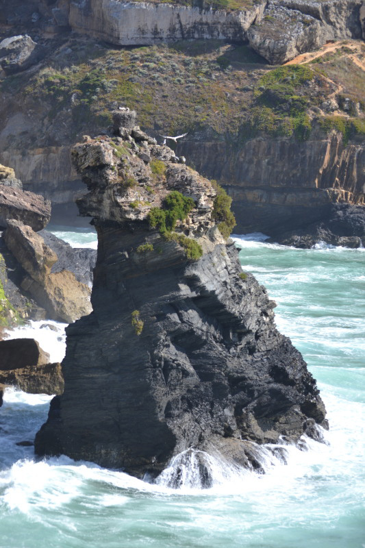 Ruta Vicentina, Portugal Ruta Vicentina, Portugal
