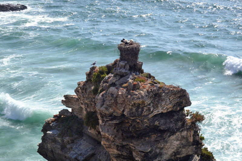 Ruta Vicentina, Portugal Ruta Vicentina, Portugal