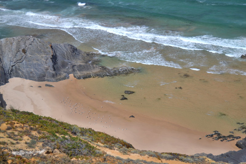 Ruta Vicentina, Portugal Ruta Vicentina, Portugal