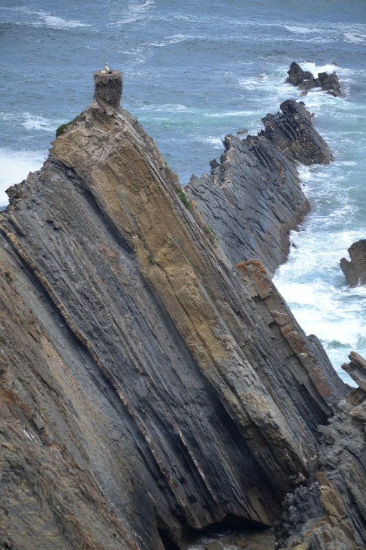Ruta Vicentina, Portugal Ruta Vicentina, Portugal
