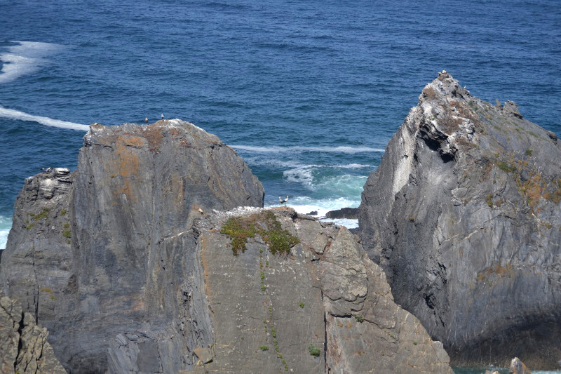 Ruta Vicentina, Portugal Ruta Vicentina, Portugal
