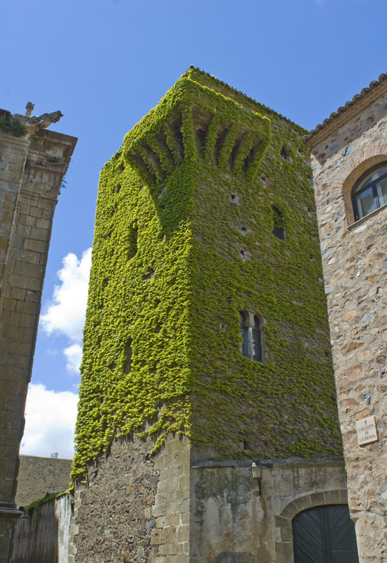 Torre de la Hiedra, Cáceres