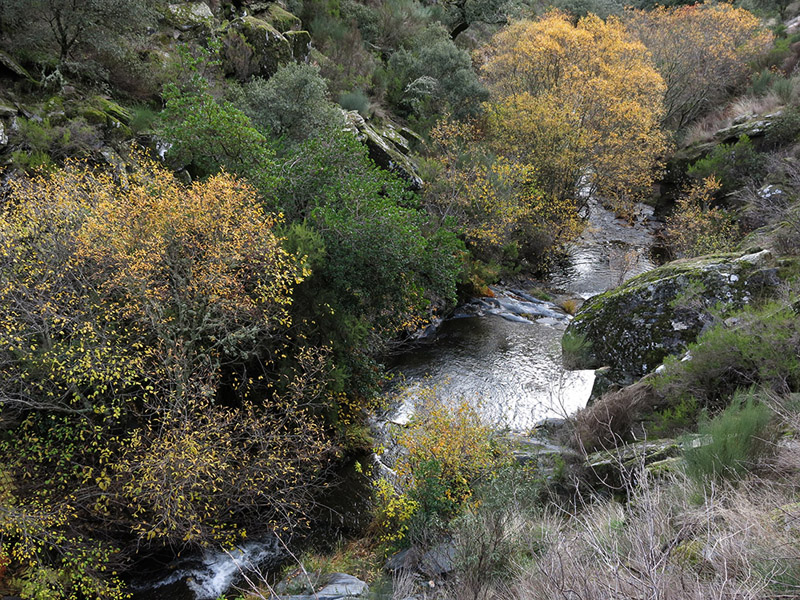 Parque Natural de Las Quilamas, Salamanca Parque Natural de Las Quilamas, Salamanca