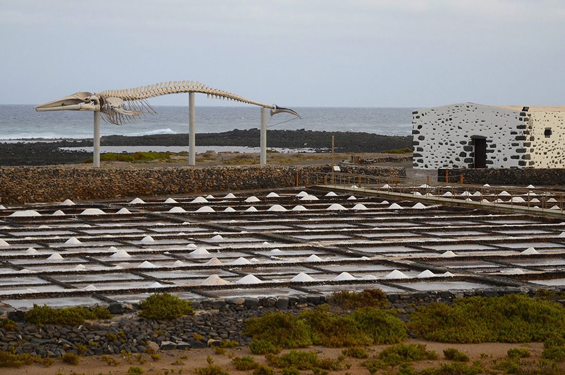 Salinas del Carmen-Fuerteventura Salinas del Carmen-Fuerteventura
