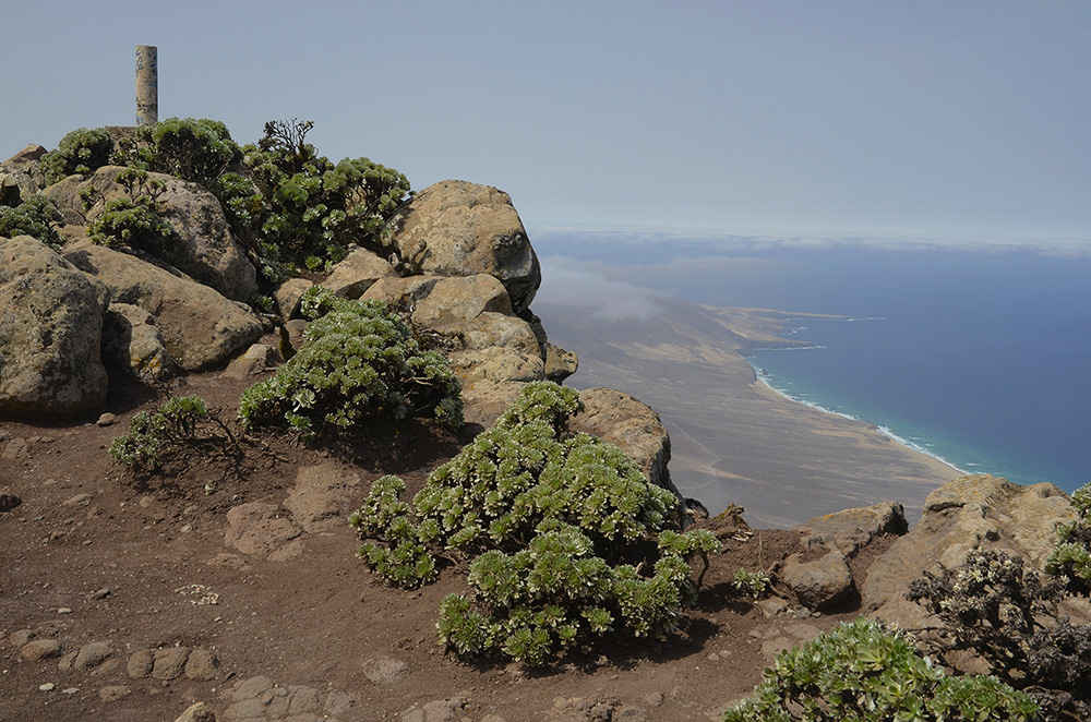 Pico de la Zarza-Fuerteventura Pico de la Zarza-Fuerteventura
