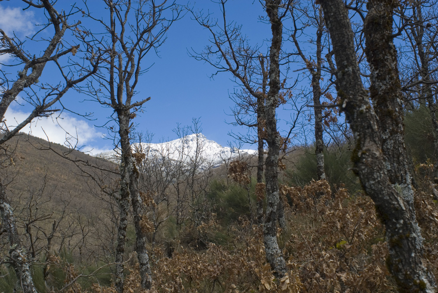 El Chorro de Hervás en el Valle de Ambroz-Cáceres
