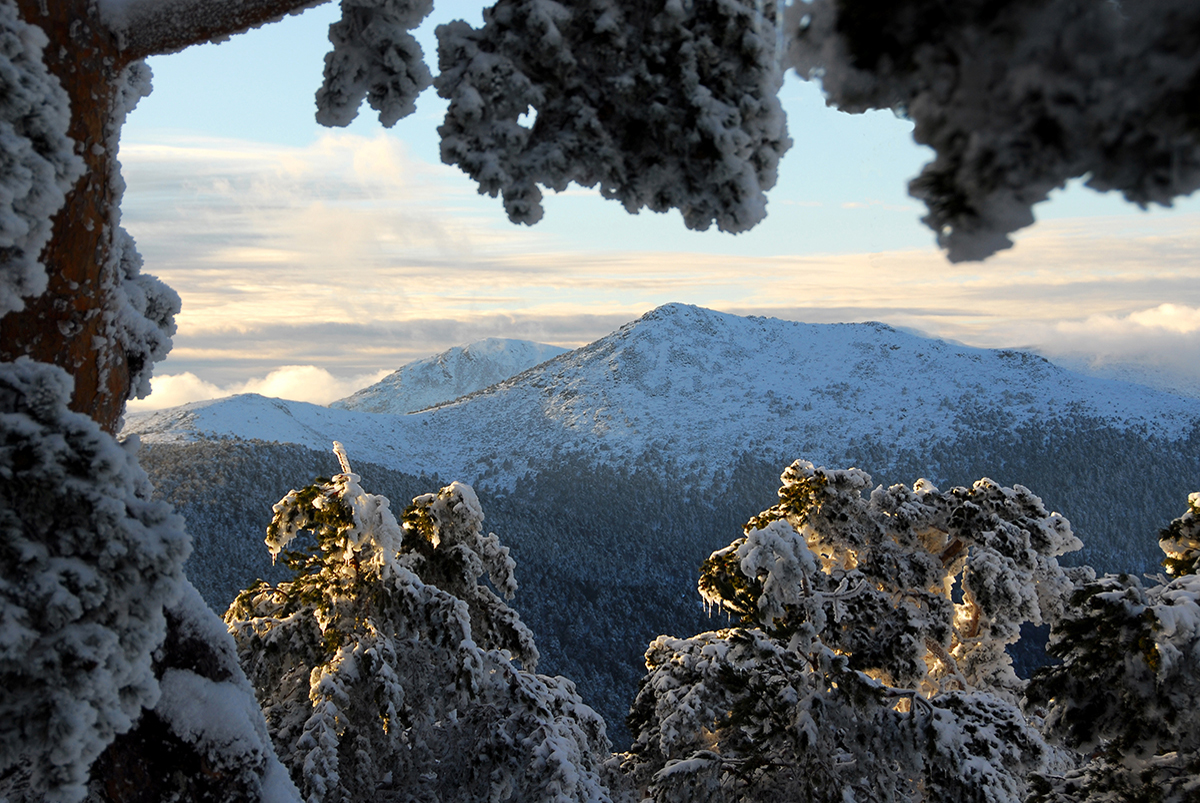 Montañas de Guadarrama Montañas de Guadarrama