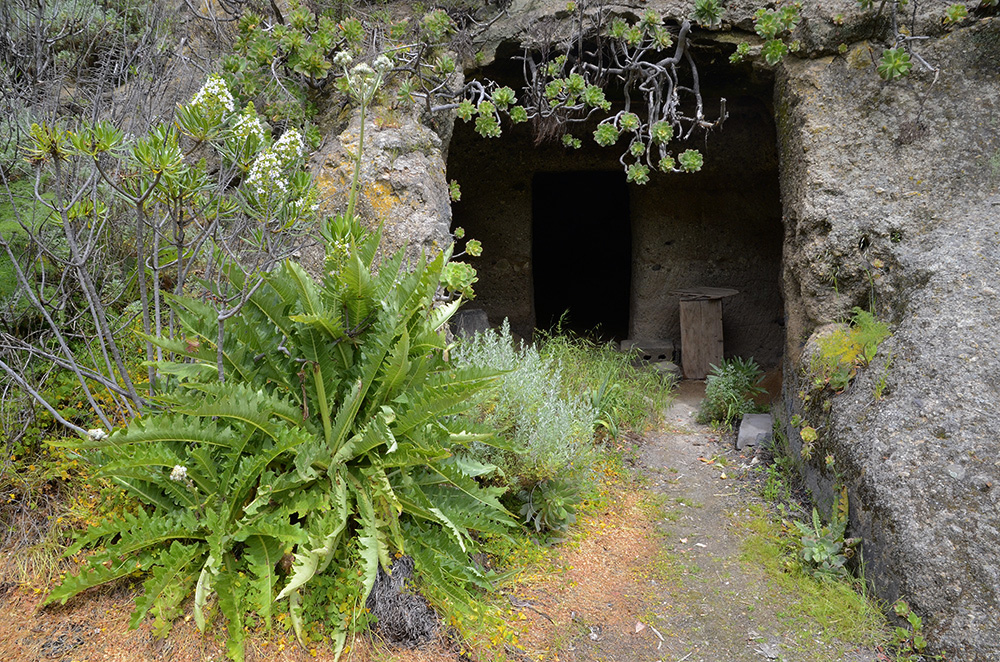 Cueva-cuadra en Los Cernícalos