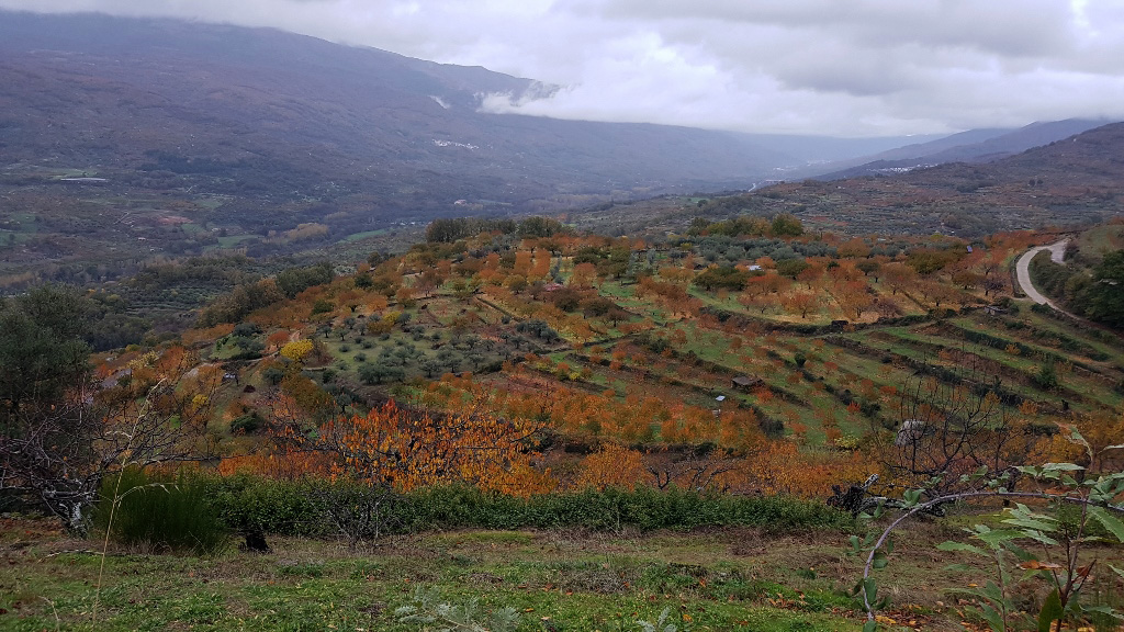 Valle del Jerte-Cáceres 