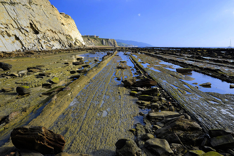 Flysch del Estrecho-Cádiz Flysch del Estrecho-Cádiz