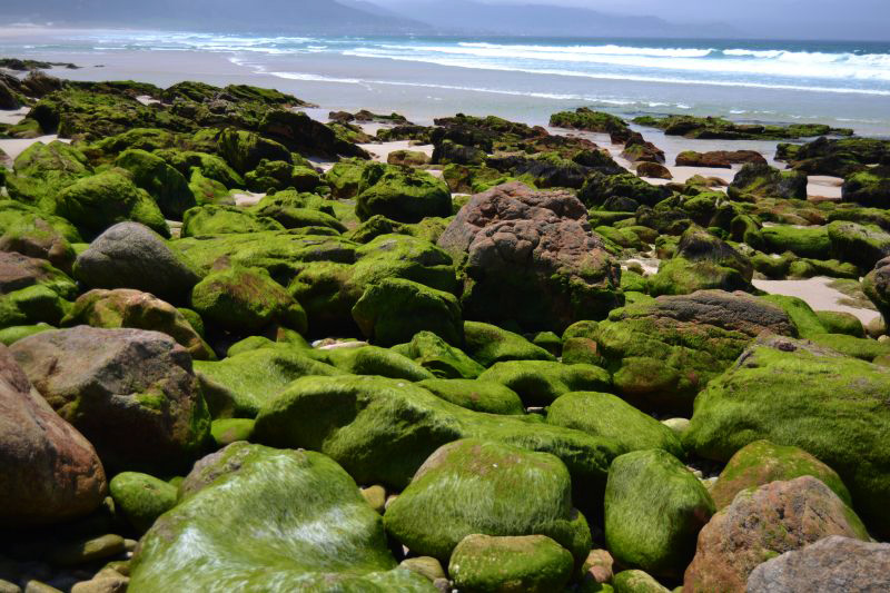 Laxe, Arou-Camiño dos Faro, Galicia