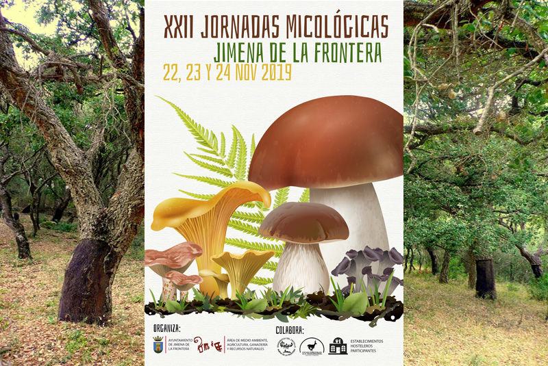 ORNADAS-MICOÓGICAS-CÁDIZ