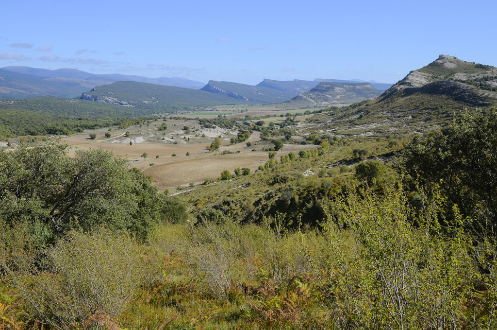 Llanos de Villamartín-Burgos