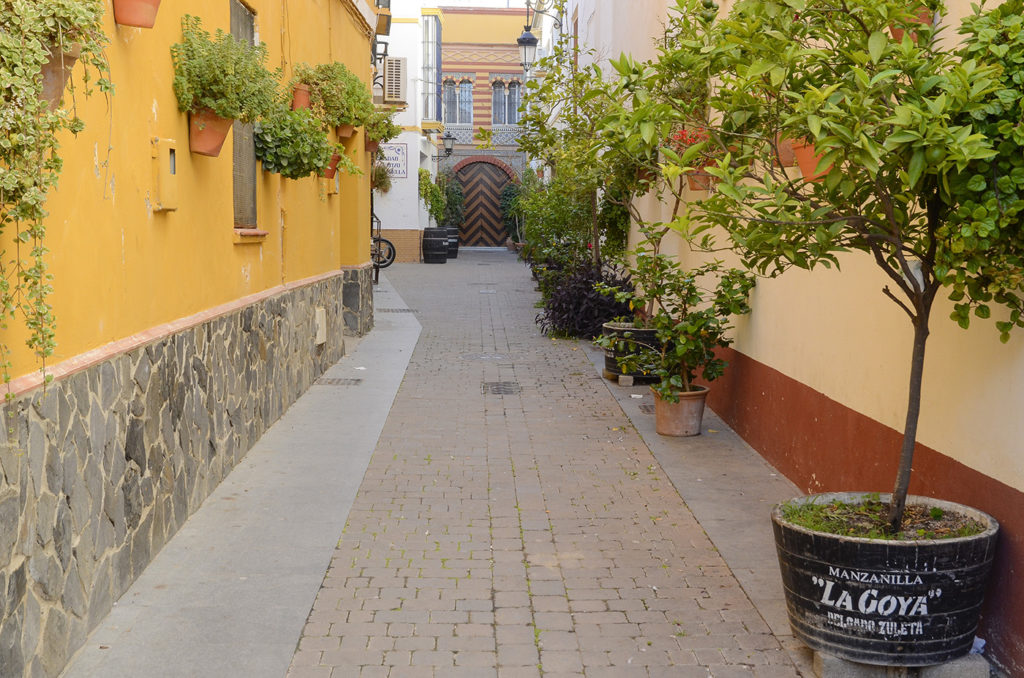 Callejón-Sanlúcar de Barrameda-Cádiz